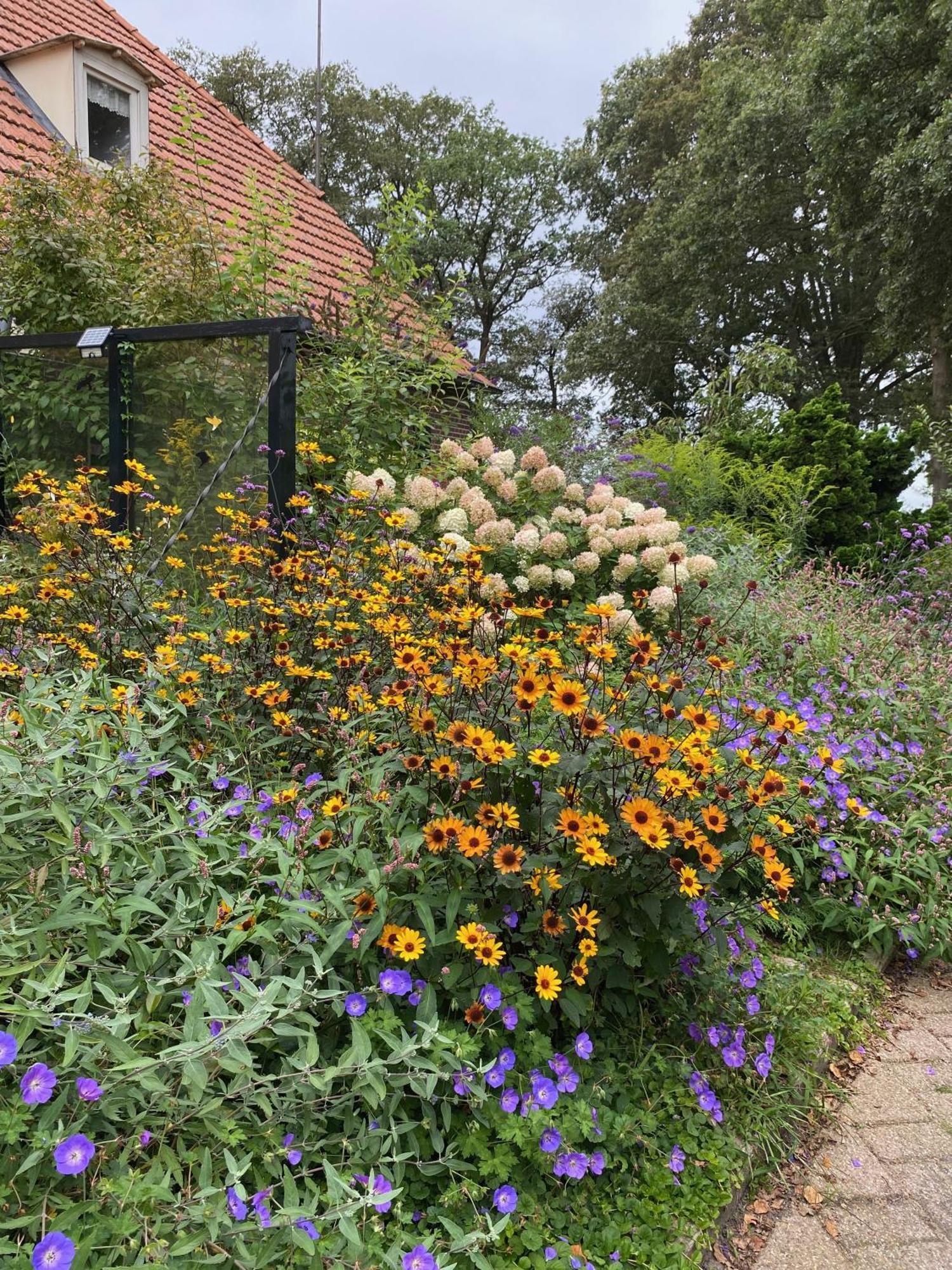 De Viersprong Bed and Breakfast Laren  Εξωτερικό φωτογραφία